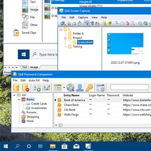 10% Off QnE Companion Coupon Code