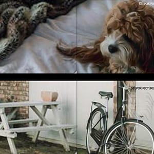 15% Off Recomposit pro Coupon Code