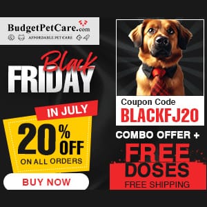 Black Friday in July BLOWOUT! [Budget Pet Care]