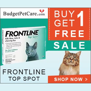 Frontline for Cats: Buy 4 Get 4 Doses Free + Extra Discount & Free Shipping