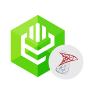 5% Off ODBC Driver for SQL Server Coupon Code