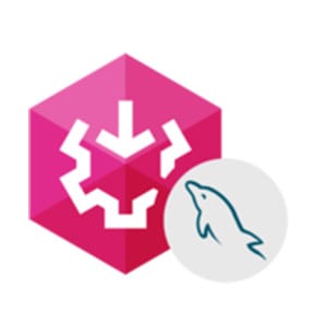 5% Off SSIS Data Flow Components for MySQL Coupon Code