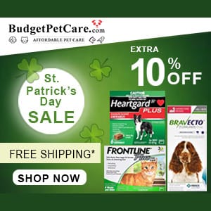 St. Patrick’s Day SAVINGS [Budget Pet Care]
