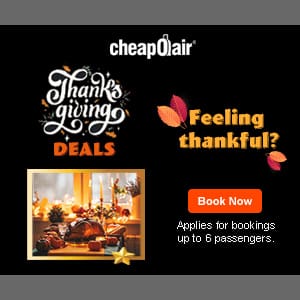 Thanksgiving Deals up to $30 off